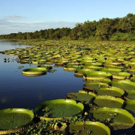 Bañado La Estrella: un santuario silvestre