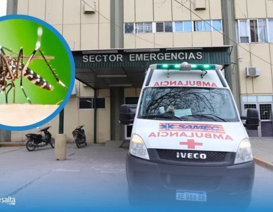 ¡Alerta en el norte! Ya son 51 los casos de Chikungunya y refuerzan operativos en la frontera